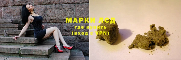 прущие грибы Армянск