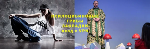 прущие грибы Армянск