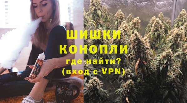 стаф Арсеньев