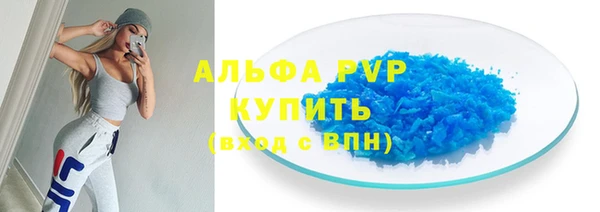 стаф Арсеньев