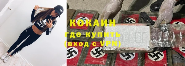прущие грибы Армянск
