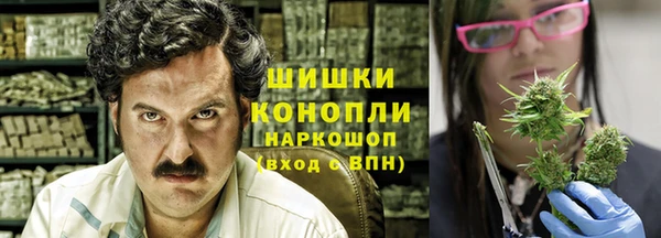 прущие грибы Армянск