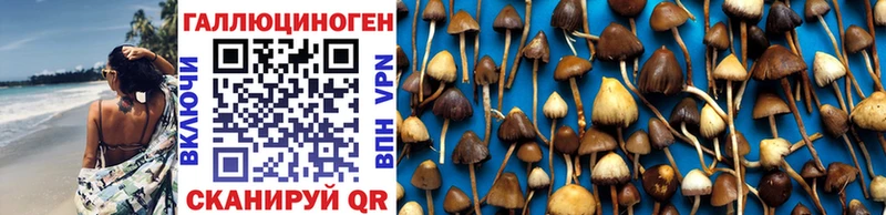 Псилоцибиновые грибы MAGIC MUSHROOMS  MEGA онион  Углегорск 